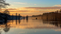 Virginia Beach- Stumpy Lake Image by Glenn Woodell