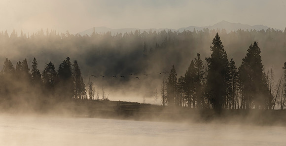 Yellowstone- 1JSN4717 Image by Glenn Woodell
