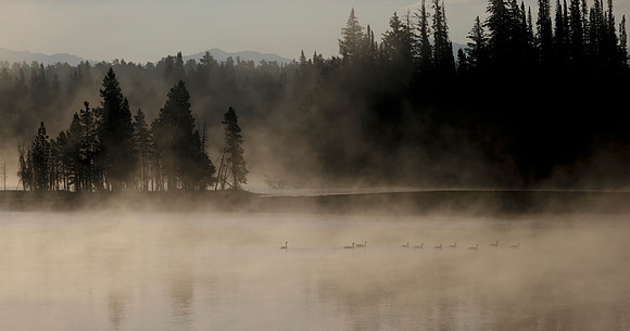 Yellowstone- 1JSN4709 Image by Glenn Woodell