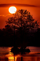 R62_0927-CR3 Image by Glenn Woodell