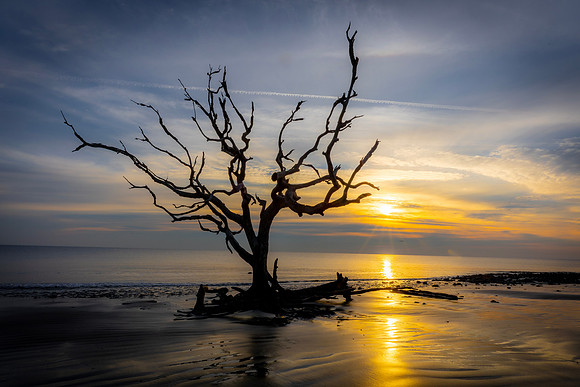 Jekyll Island- R61_0649 Image by Glenn Woodell