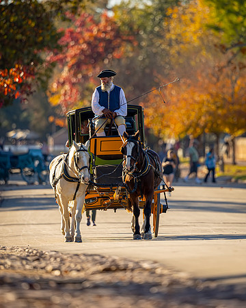 Williamsburg Image by Glenn Woodell