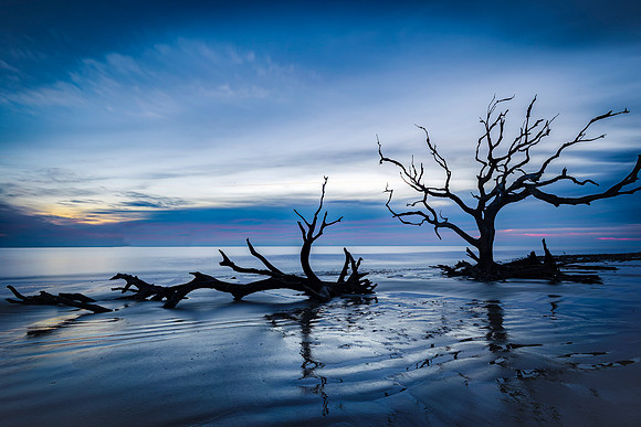 Jekyll Island- Driftwood Beach Blues  -Image by Wendy Podmenik Woodell