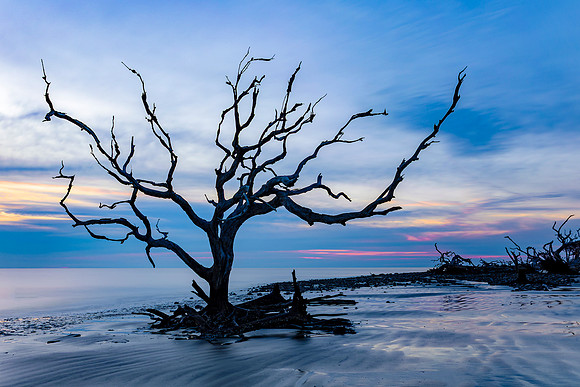 Jekyll Island- Sunrise at Driftwood Beach  -Image by Wendy Podmenik Woodell