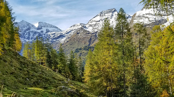 20191013_112415 Image by Glenn Woodell