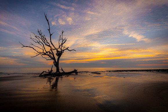 Jekyll Island- R62_4619 Image by Glenn Woodell