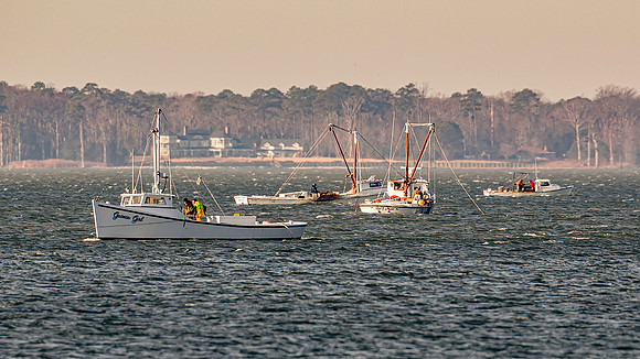 Poquoson Image by Glenn Woodell