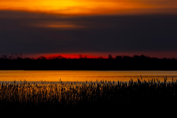 Blackwater- R62_4703 Image by Glenn Woodell