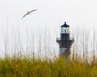 Hatteras Lighthouse- Shifting Sands of Time Image by Glenn Woodell