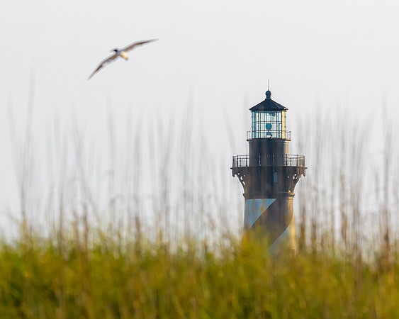 Hatteras Lighthouse- Shifting Sands of Time Image by Glenn Woodell