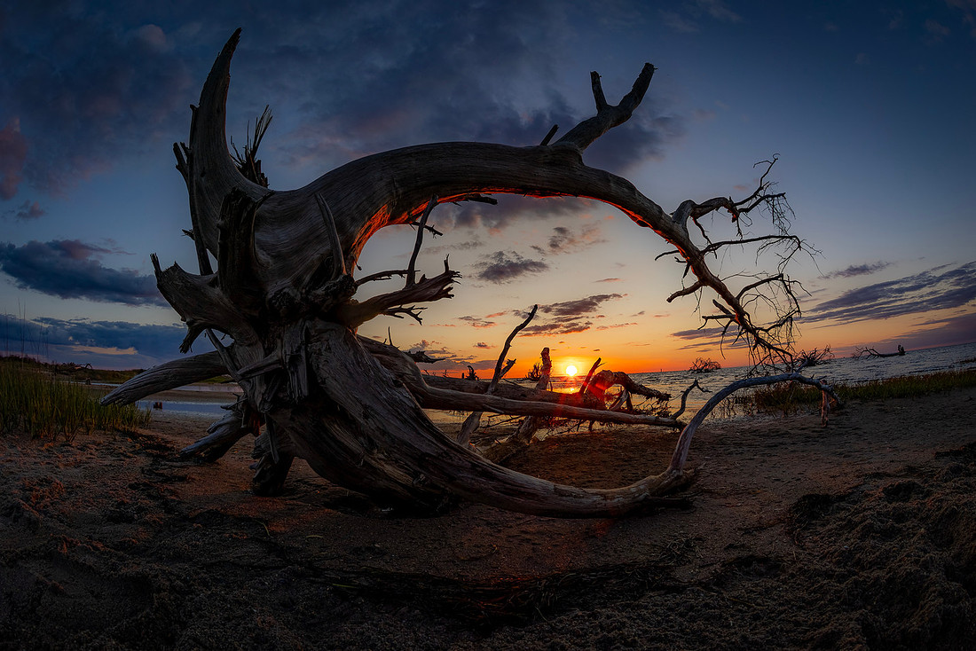 Hatteras Inlet Driftwood Image by Glenn Woodell
