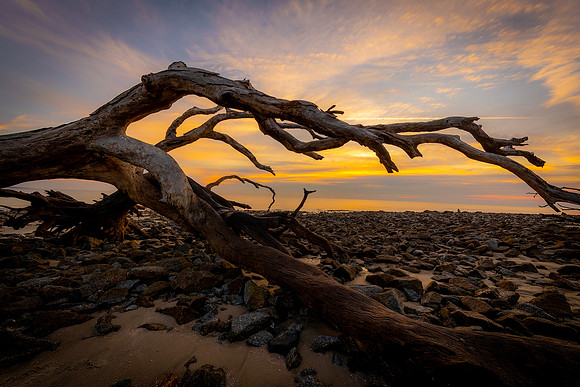 Jekyll Island- R62_4613 Image by Glenn Woodell